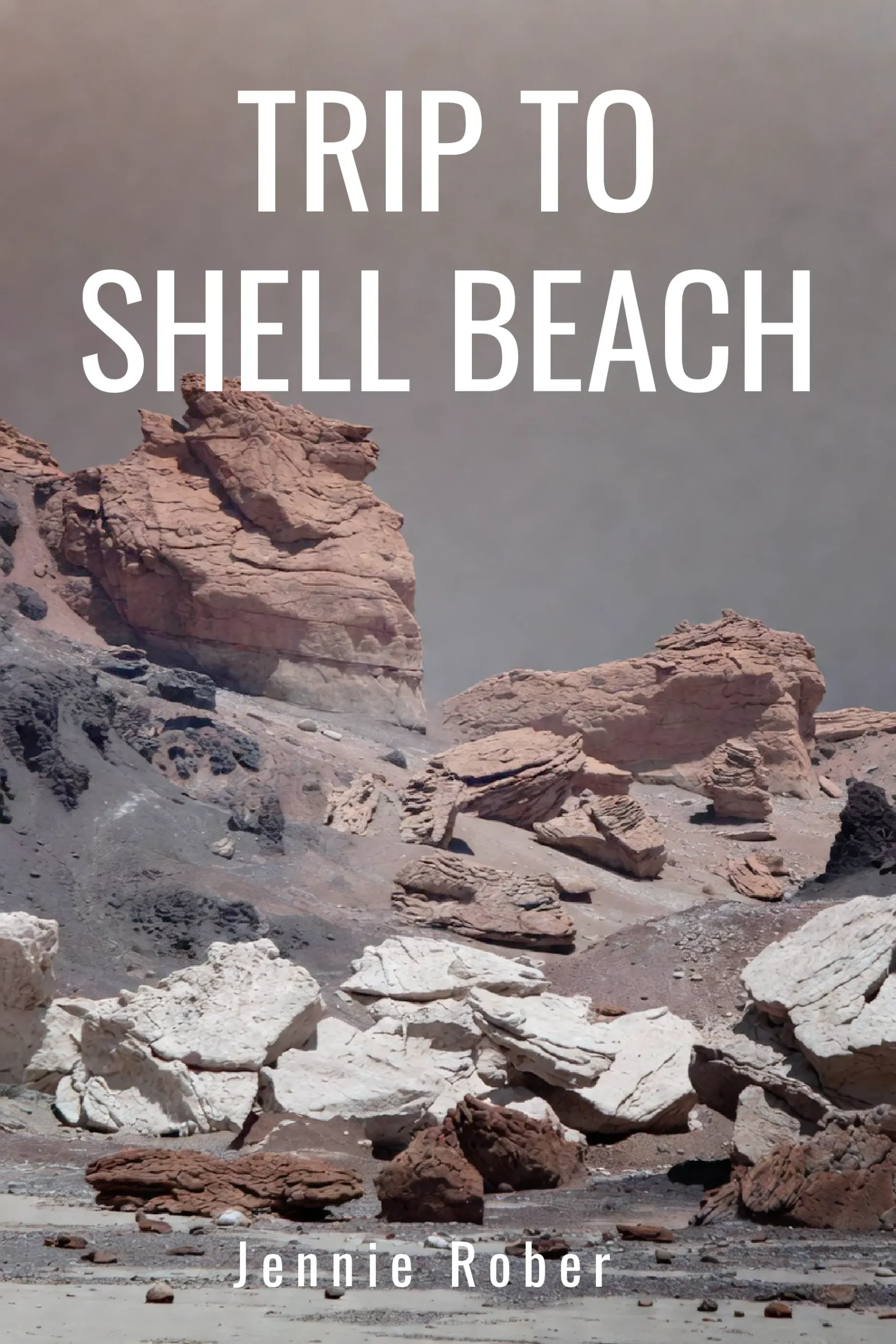 Trip To Shell Beach
